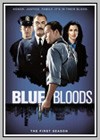 Blue Bloods: Manhattan Queens
